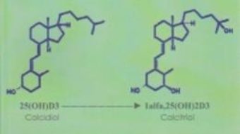 Cartea Sistemul Endocrin Al Vitaminei D Vol.2 – Doru Dejica, Valeria Dejica (download, pret, reducere)