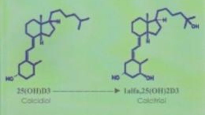 Cartea Sistemul Endocrin Al Vitaminei D Vol.2 – Doru Dejica, Valeria Dejica (download, pret, reducere)