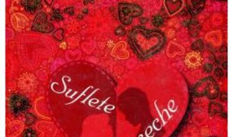 Download Suflete pereche ed.4 – Cecelia Ahern pdf, ebook, epub