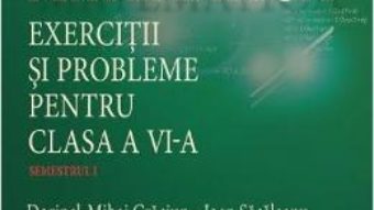 Download Matematica. Exercitii si probleme pentru cls 6. Semestrul I – Dorinel-Mihai Craciun pdf, ebook, epub