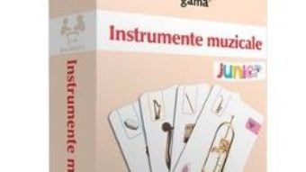 Download Instrumente muzicale – Carti de joc educative pdf, ebook, epub