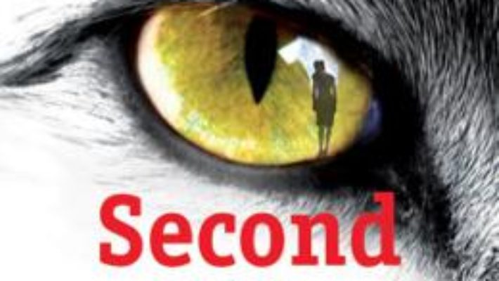 Download Second life – S.J. Watson pdf, ebook, epub