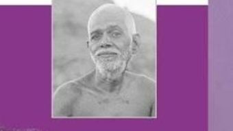 Guru Ramana – S.S. Cohen PDF (download, pret, reducere)