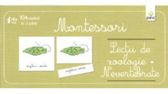 Lectii de zoologie. Nevertebrate – Montessori PDF (download, pret, reducere)