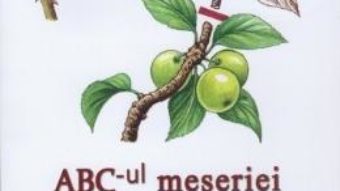 Abc-ul meseriei – Jean-Yves Prat PDF (download, pret, reducere)