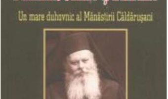 Amintiri despre parintele Damaschin Stefan – Mihaela Ion PDF (download, pret, reducere)